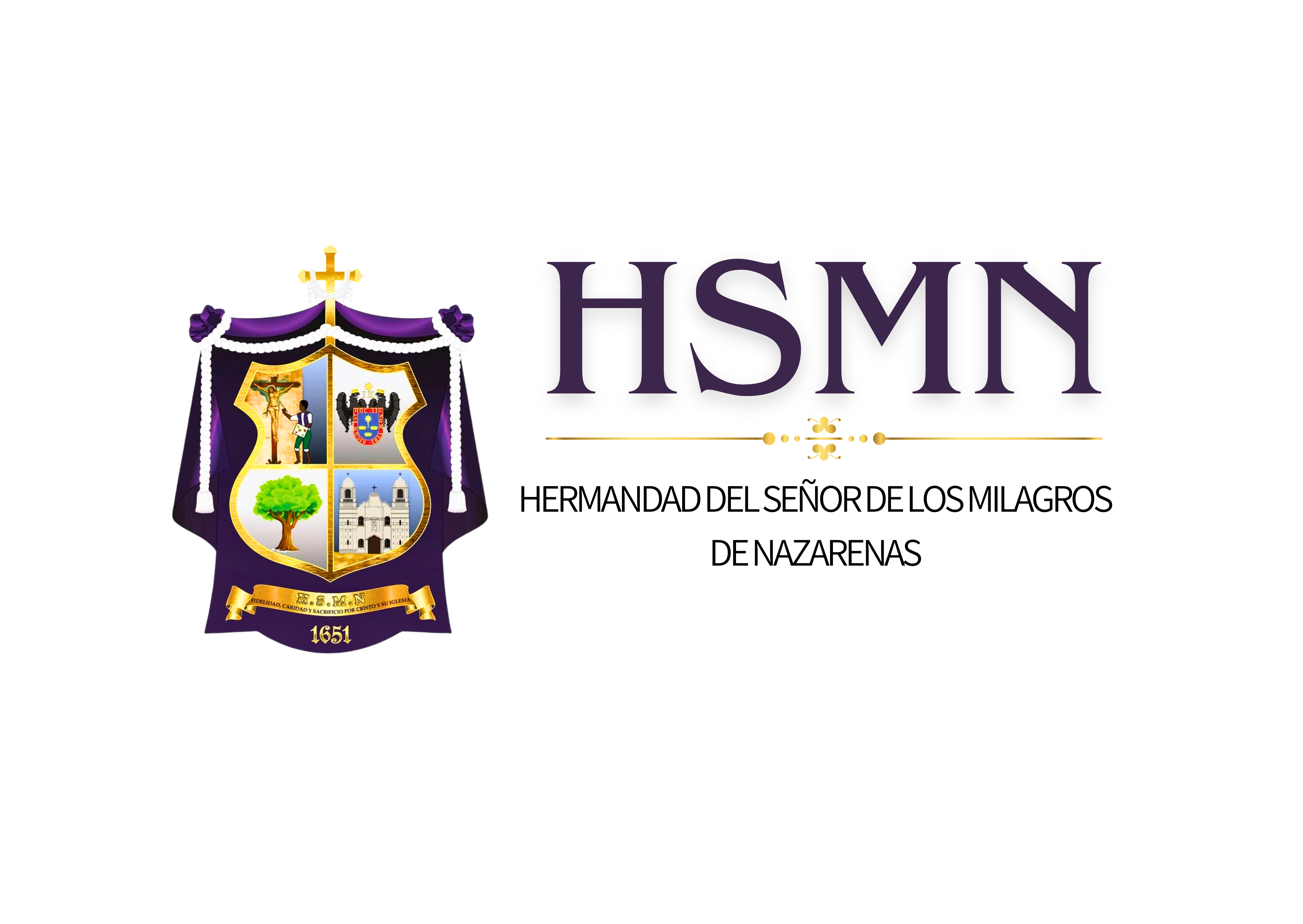 Logo TI HSMN